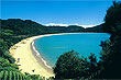 New Zealand as a tax haven in 2010