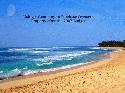 Offshore tax REPORT - Buying overseas property through a company after the 2007 Budget